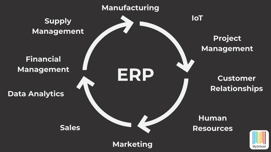 The ERP System Units