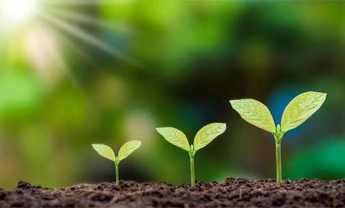 3-Nov-03-2025-09-56-56-7729-AM