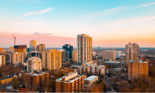 What We Do  LMS and IEP 2